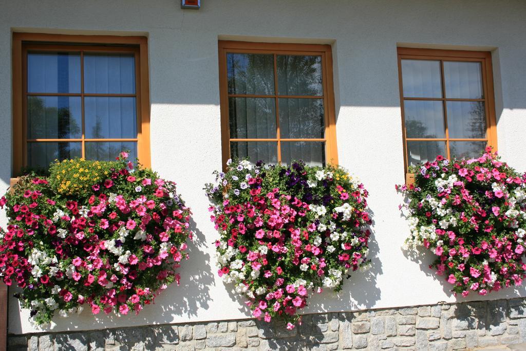 Penzion Slnecny Dom Tatranská Lomnica Exterior foto